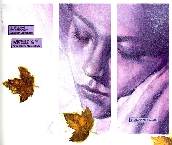 Black Orchid de Neil Gaiman: la muerte del superhéroe