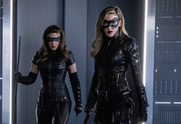 The Canary Network podría llegar al Arrowverse