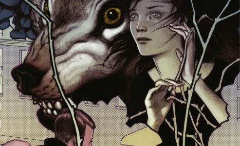 DC Vertigo Deluxe Fables Libro Dos