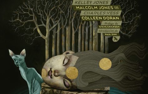 The Sandman Vol. 3: País de Sueños 30 Aniversario
