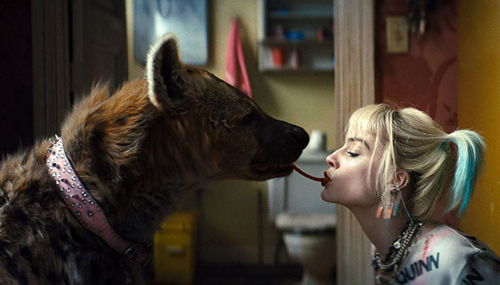 La siguiente película de Harley Quinn resolvería el misterio de la muerte de Robin