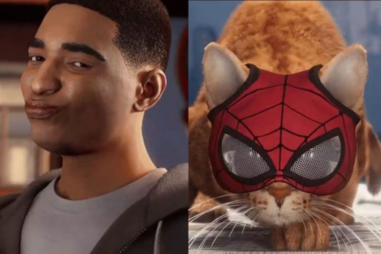 miles morales and spider cat