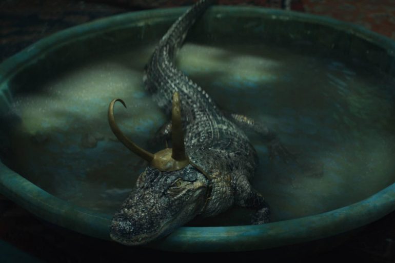 Conoce a Alligator Loki, el nuevo lagarto favorito del MCU | Marvel