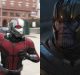 Ant-Man por fin habla sobre derrotar a Thanos como sugirieron las redes